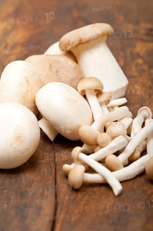 Bunch of fresh wild mushrooms on a rustic wood table