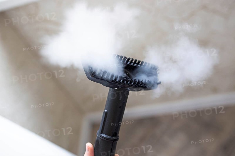 Steamer for cleaning the house