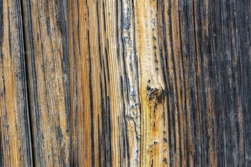 Old wooden door with aged metal door handle. Architectural textured background