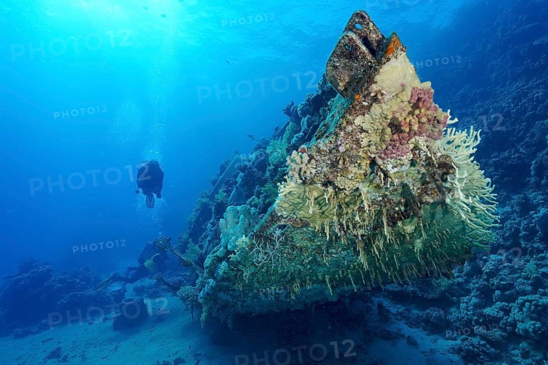 Coral-covered wreck of sailing boat