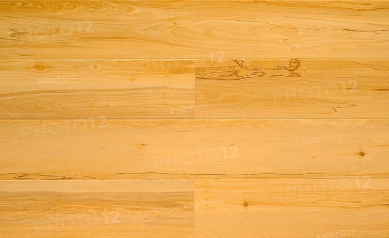 Natural wood flooring sample high resolution photo