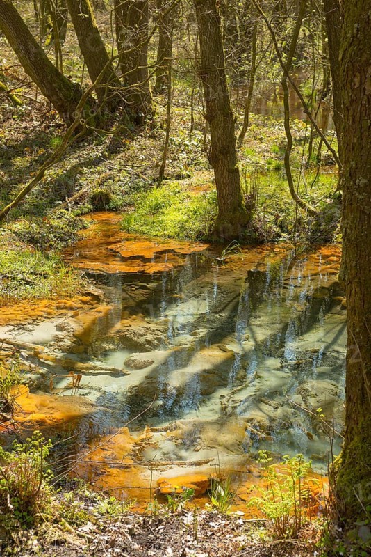 Spring and stream of the Schwindebach or Schwindebeck