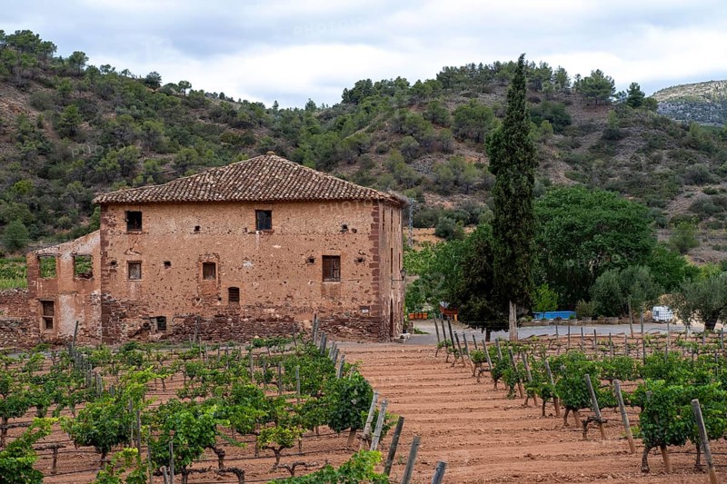 Experience stunning vineyard landscapes in the Priorat wine region