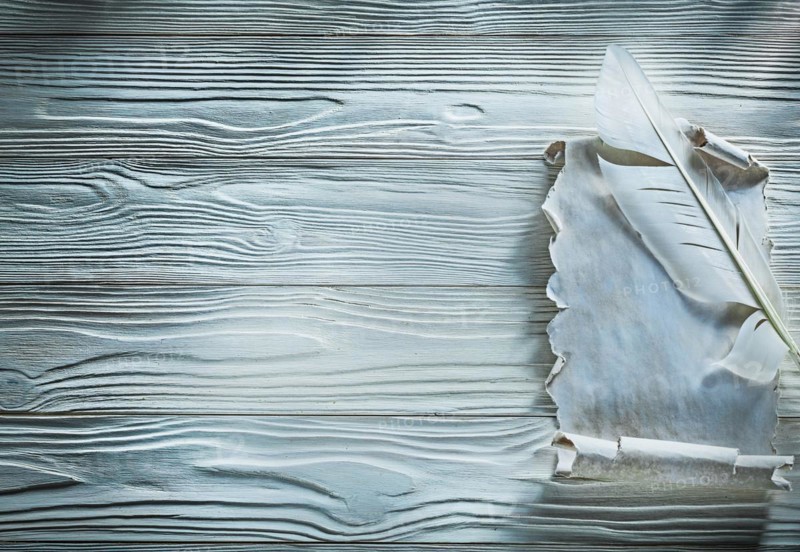 Ancient crumpled paper scroll plume on wooden board copy space