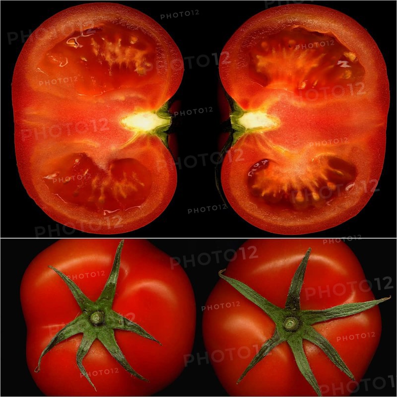Tomatoes collage composition nested on a black square frame