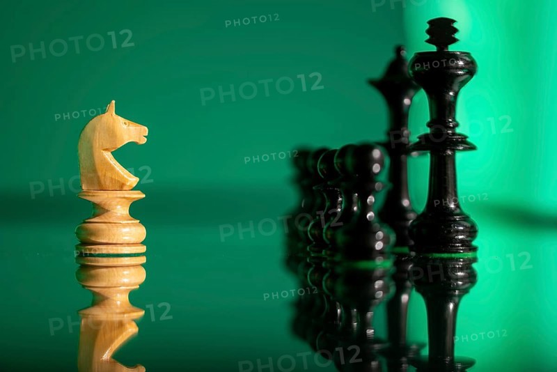 Profile view of a white knight piece and a black king with reflecting shadows