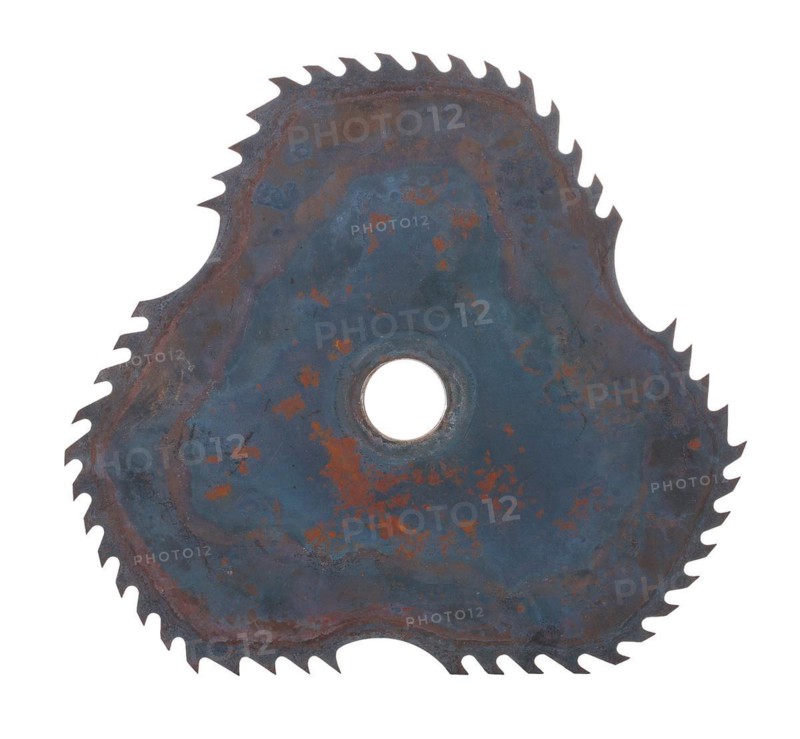 Circular saw blade for cutting wood