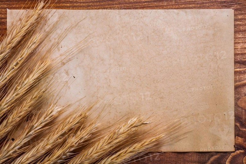 Organised copyspace old blank paper and ears of wheat on vintage wooden board food and drink concept