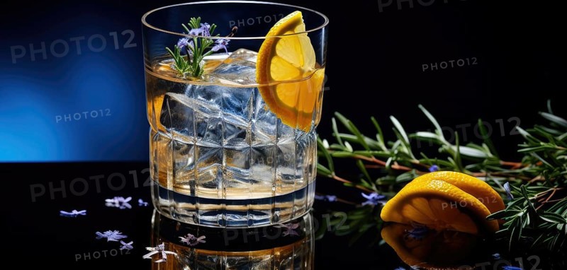 A close-up of a glass filled with ice cubes and lemon slice