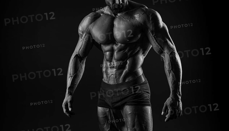 Muscular male torso. Perfect fit