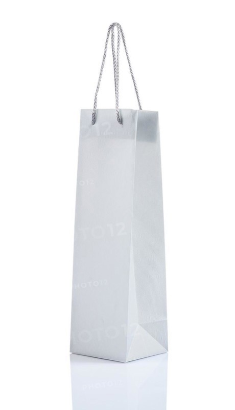 Isolated grey paper bag