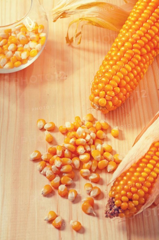Ears of corn on wooden boards instagram style