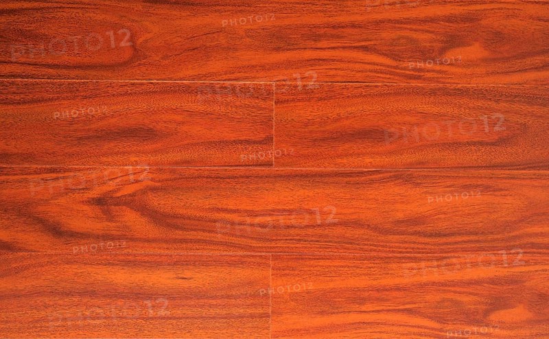 Natural wood flooring sample high resolution photo