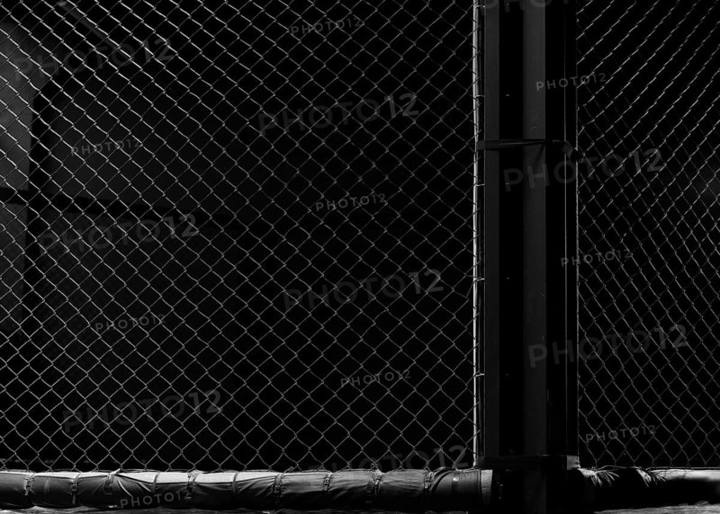 Image of an octagon. Concept of boxing