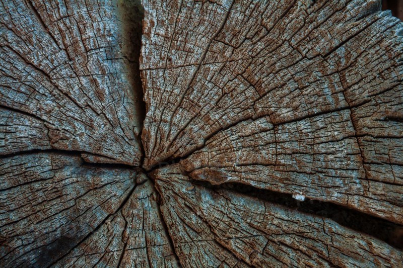 Sawing off an old