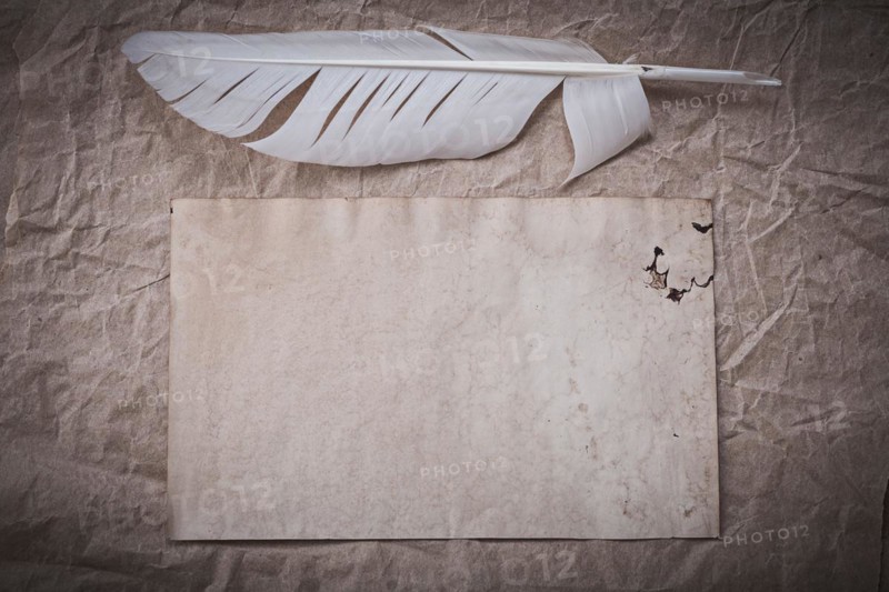 Antique sheet feather on crumpled wrapping paper