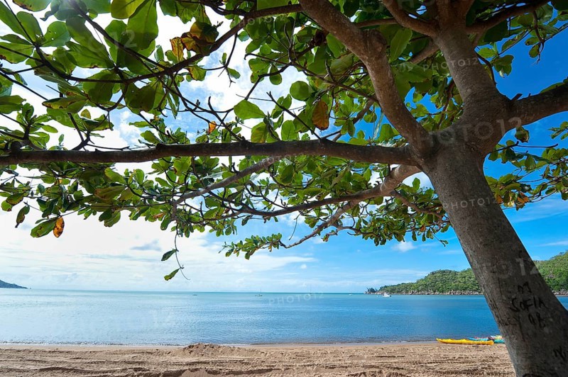 Beach with tree shade
