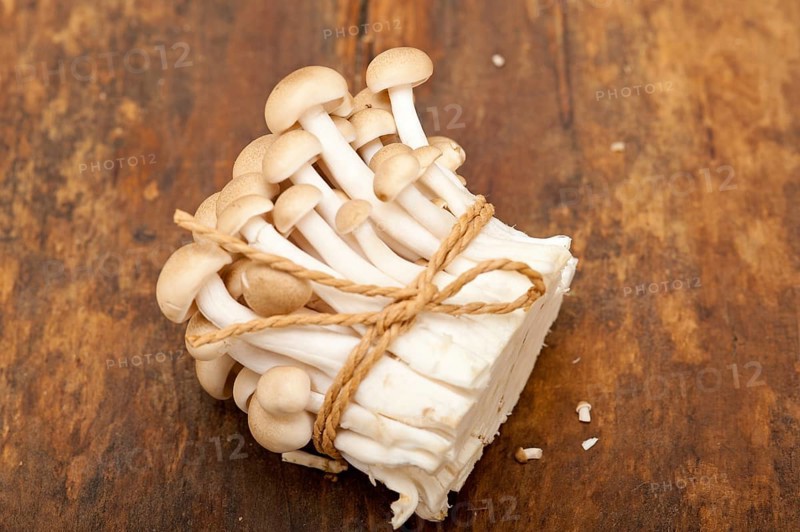 Bunch of fresh wild mushrooms on a rustic wood table tied with a rope