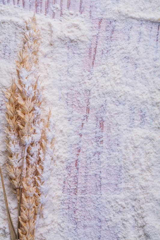 Copyspace image Wheat ears on white natural flour Food and beverage concept