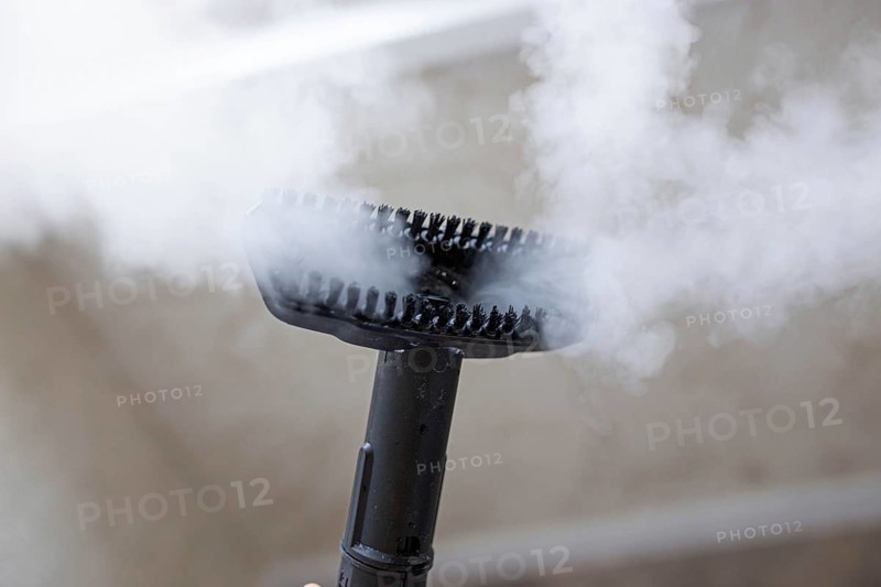 Steamer for cleaning the house