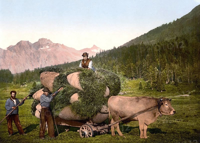 Agriculture