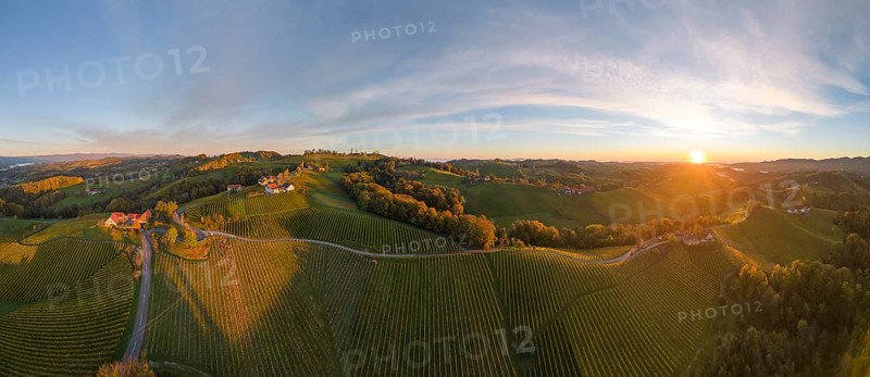 Aerial view of vineyards in the morning light