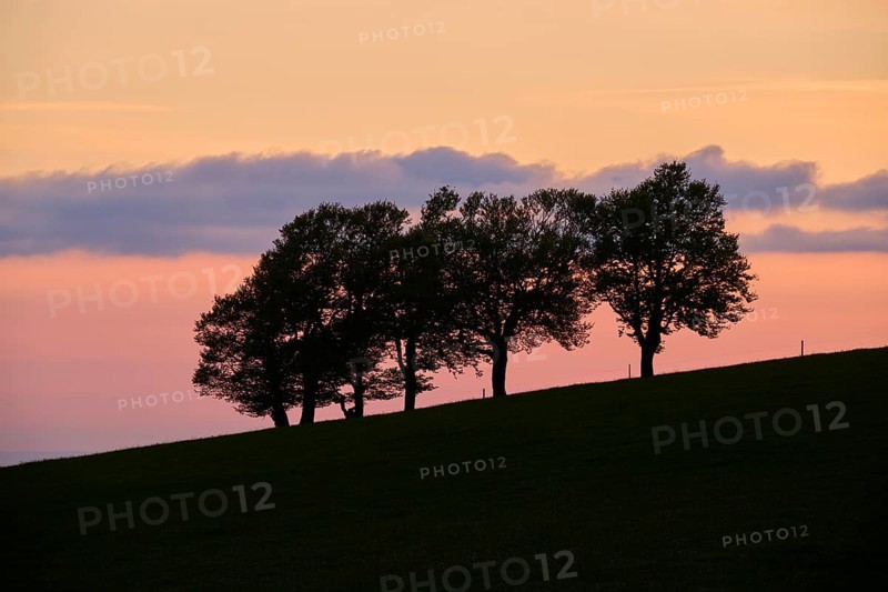 Wind beeches at sunset with cloudy sky in spring