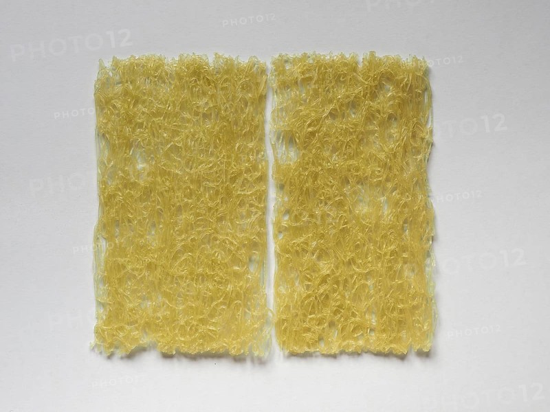Rice vermicelli noodles