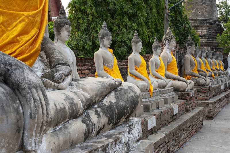 Buddha statues around the Great Chedi Chaya Mongkol