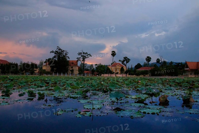 Cinematic tranquil scene of Srah Chhouk or Lotus Pond during the dusk