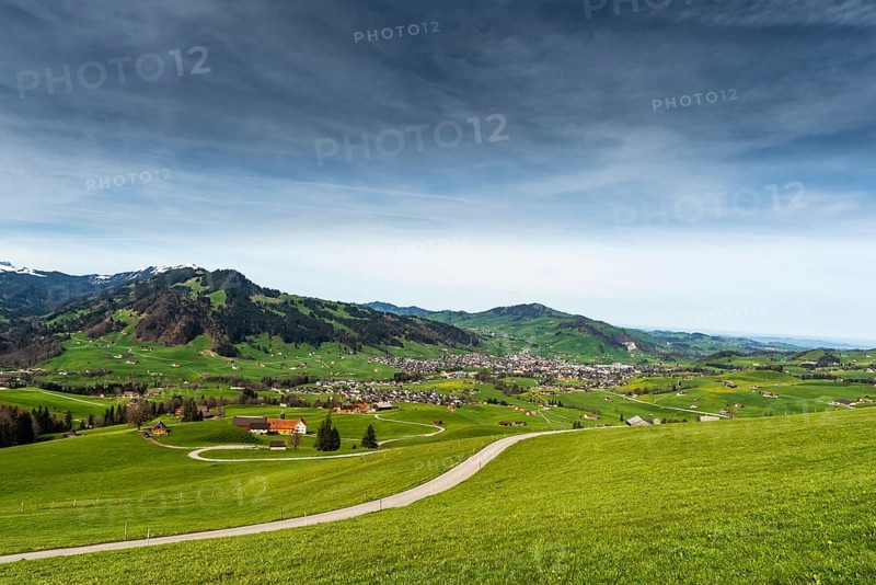 Hilly landscape in Appenzellerland with farms and green meadows