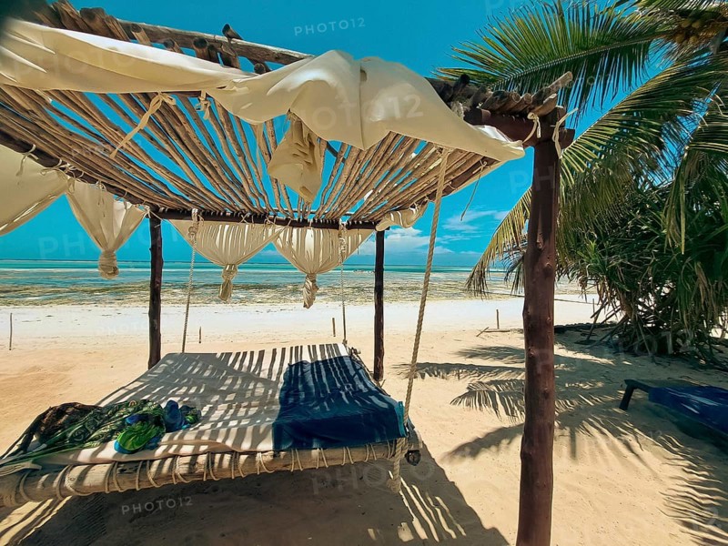 A hammock under a canopy flanked by palm trees invites relaxation on a sunny beach