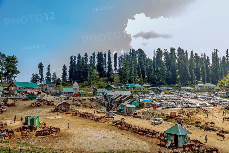 Rural mountain village with a busy market and horses under a bright blue sky in Gulmarg. The scenic valley of Gulmarg is a little piece of paradise cocooned by the mighty snow-clad mountains of the Pir Panjal range in Jammu Kashmir