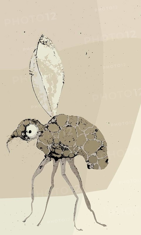 Grunge mosquito