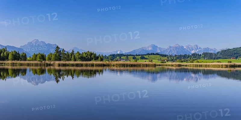Panorama at Schmutterweiher