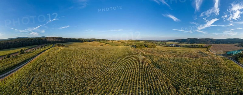 Aerial view corn field St.Veit