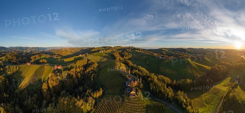 Aerial view of vineyards in the morning light
