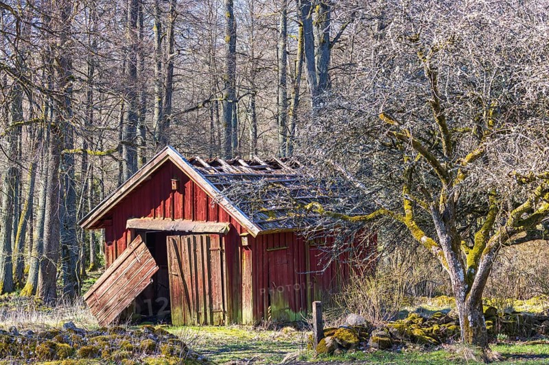 Old red wooden shed in bad condition by a stone wall at a farm in the forest