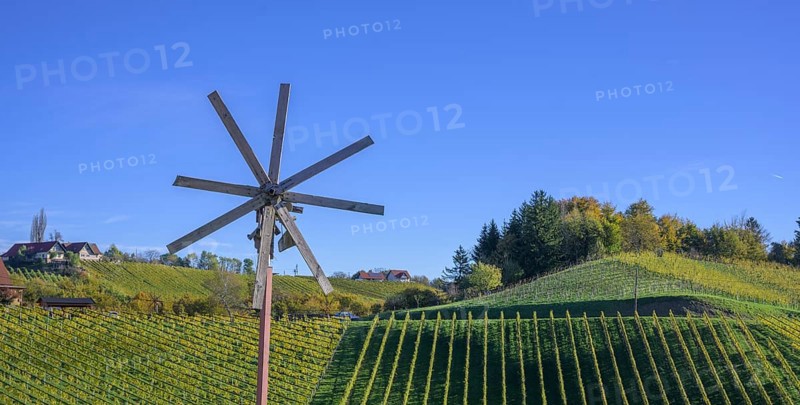 Klapotetz and vineyards