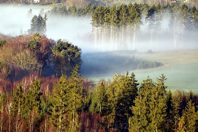 Hunsrueck landscape with forest and meadows on the edge of the Hunsrueck-Hochwald National Park with fog on an early winter morning