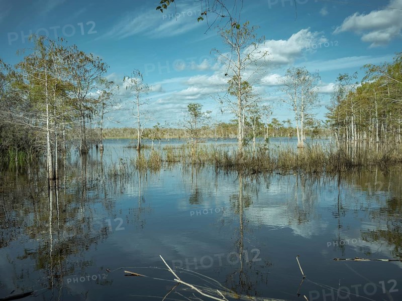 Lagoon