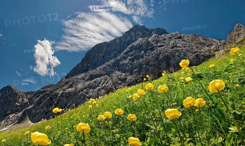 A summery mountain landscape with blue sky