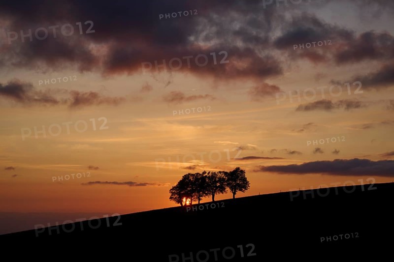 Wind beeches at sunset with cloudy sky in spring