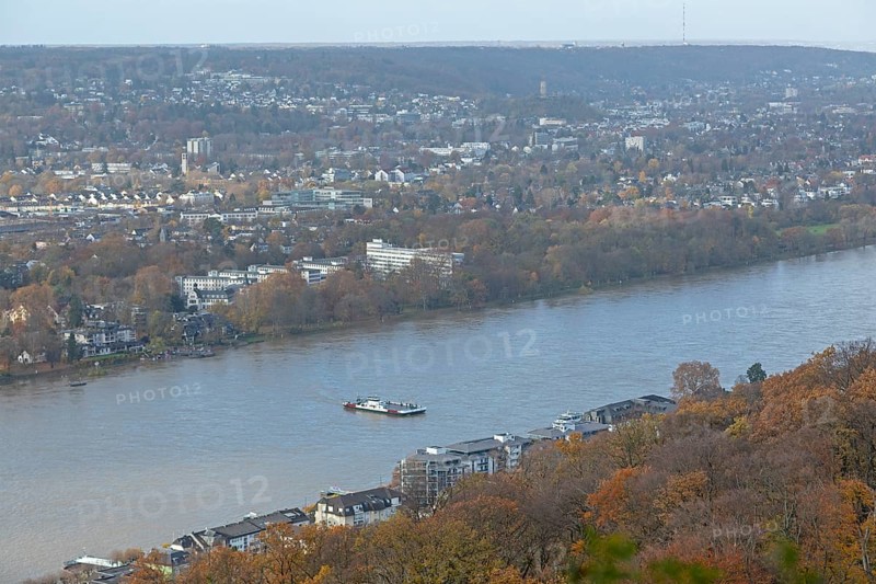 Rhine Ferry
