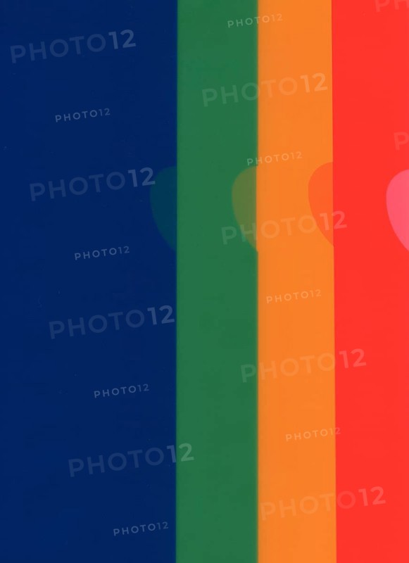 Multicolored document folders