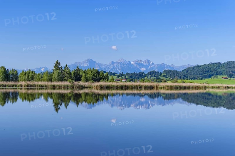 Panorama at Schmutterweiher