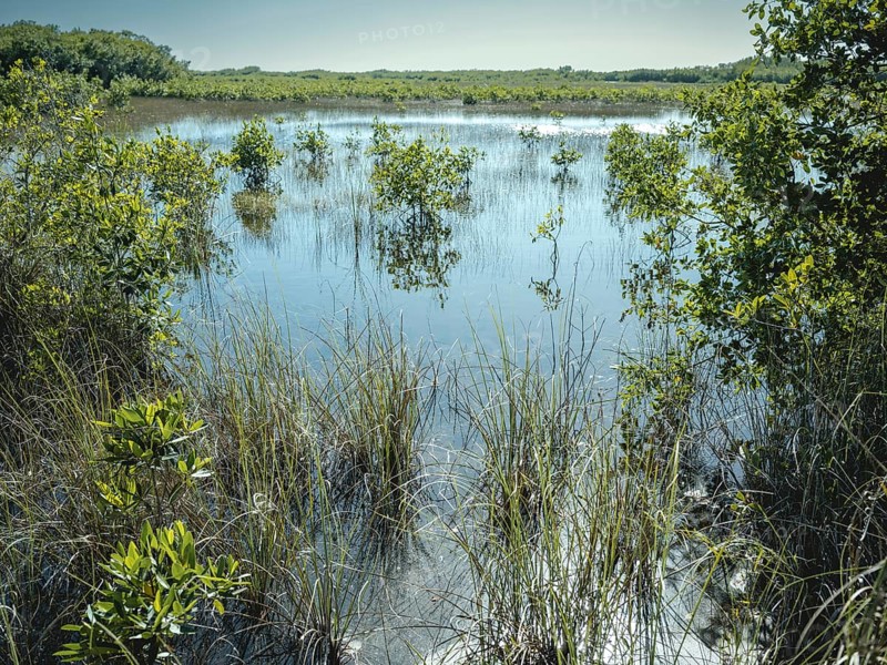 Lagoon