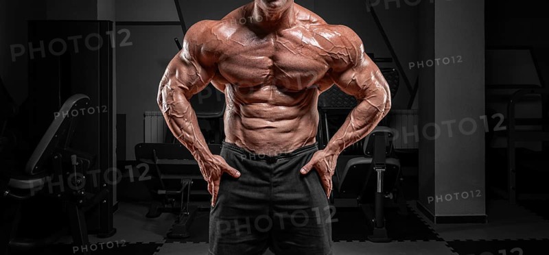 Powerful bodybuilder posing in the gym. No name portrait. Bodybuilding concept.