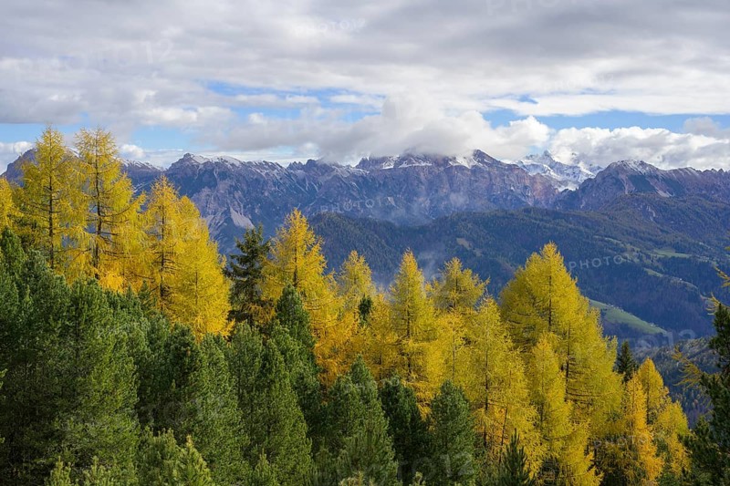 Mountains of the Fanes nature park Park and autumnal larch forest