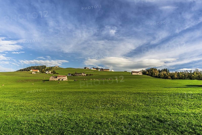 Hilly landscape in Appenzellerland with farms